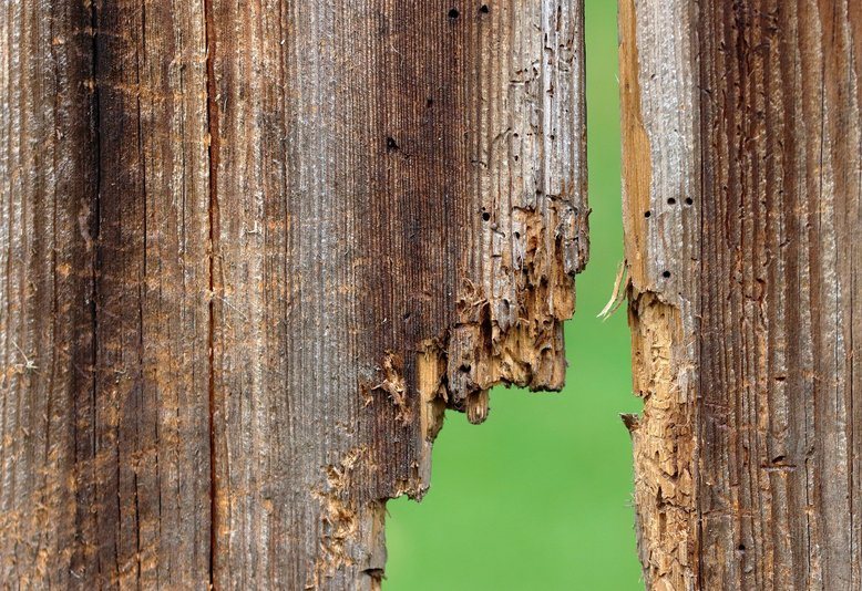 exposed wood subjected to the elements causing wood rot