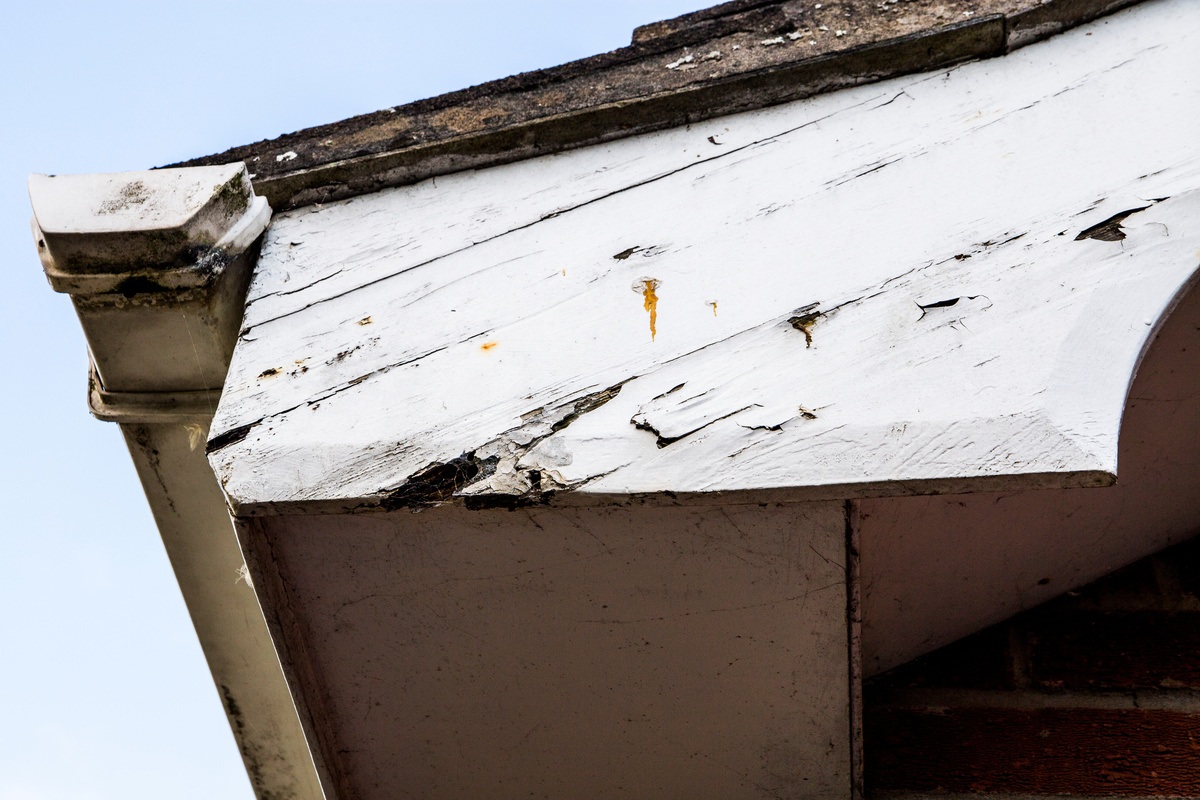 wood rot on home exterior