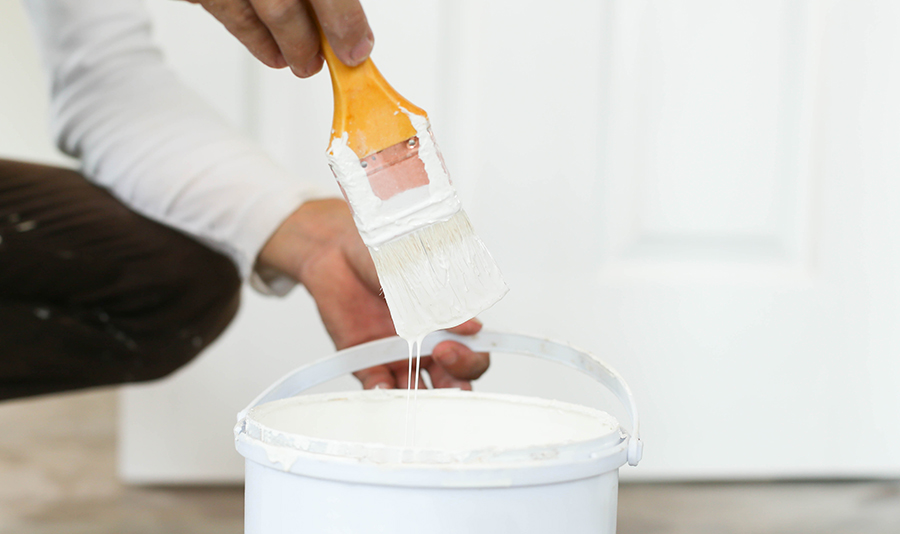 How to Choose the Best Paint Primer