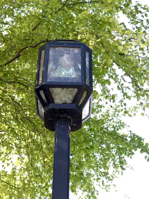 close up of street lights showing damage and spider webs